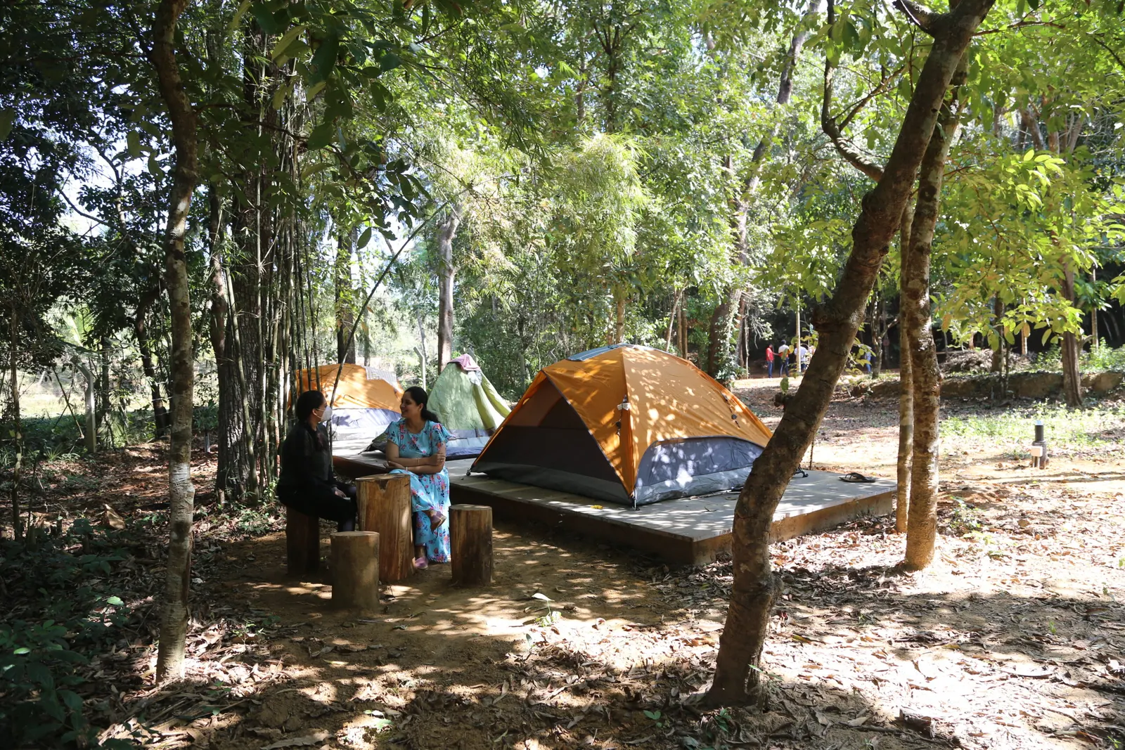 Tents on timber platforms in a sunlit forest clearing